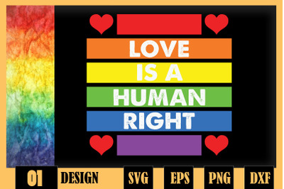 Love Is A Human Right LGBT Rainbow Flag