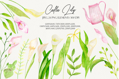 Watercolor Calla lily set clipart