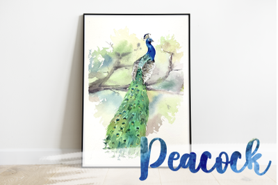 Watercolor Peacock Print and Clip Art