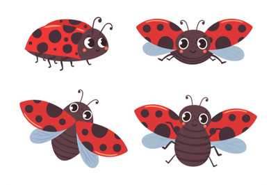 Cartoon ladybug insects with red black wings