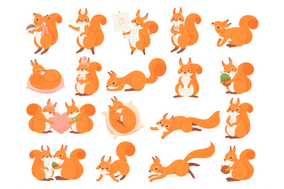 Cartoon squirrel collection poses, happy and love