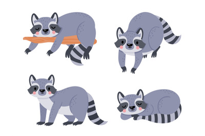 Cute cartoon baby raccoon, animal sleep and rest