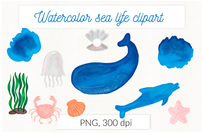 Watercolor sea life marine clipart