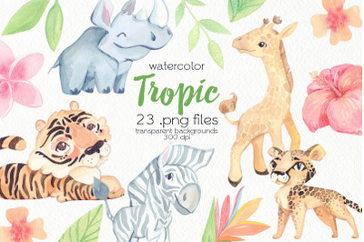 Watercolor Tropical Animals Clipart