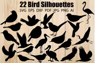 Bird Silhouettes, Bird Svg Bundle