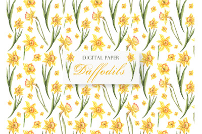 Daffodils seamless pattern. Watercolor daffodils. Spring flowers.