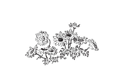 Linear wildflowers and stems, engraving sketch isolated on white backg