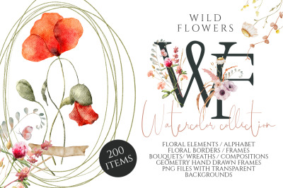 Wild Flowers watercolor collection