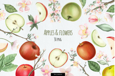 Apples and flowers clipart