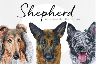 Shepherd dogs. Watercolor set 12 dogs breeds illustrations