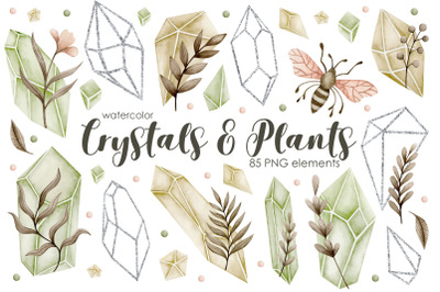 Watercolor crystals and plants clipart