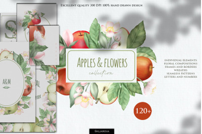 Apples and flowers collection