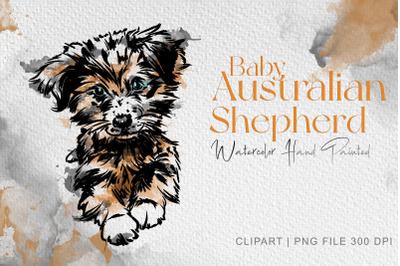 Baby Australian shepherd clipart