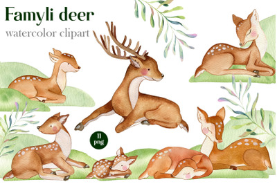 Deer watercolor clipart. Mom and baby. Forest animals
