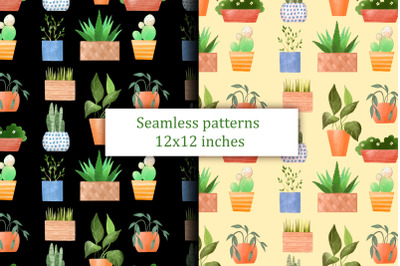 Potted plants. Seamless patterns