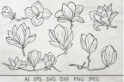 Magnolia flowers line art svg, Magnolia silhouette dxf