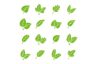 Green eco leaves. Pharmacy leaf logo&2C; fresh tree foliage elements. Nat