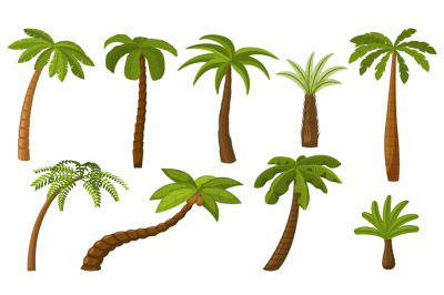 Cartoon palm tree. Summer coco palms, jungle coconut. Isolated beach p