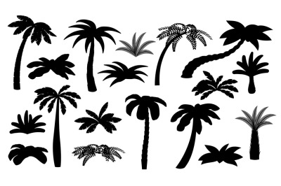 Black palm tree silhouettes. Isolated palms&2C; coconut trees. Beach bush