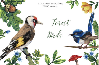 Forest Birds - Gouache Clipart Set
