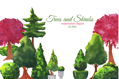 Watercolor trees, shrubs and bushes clipart. Spring and summer greener