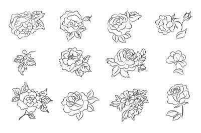 Hand drawn outline flowers. Flower roses, peony daisy plant and leaves