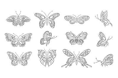 Butterflies line silhouettes. Spring butterfly&2C; abstract outline tatto