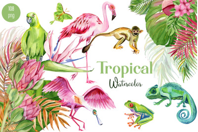 Tropical animals and plants watercolor clipart