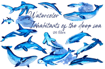 Watercolor Ocean Clipart, Cute sea animals png