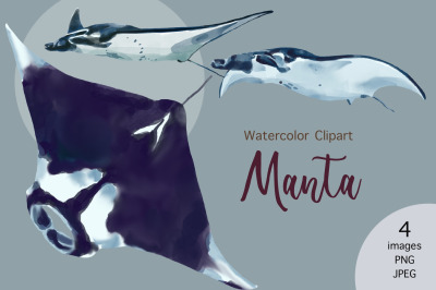 Watercolor Manta Rays clipart, Sting rays, watercolor illustration