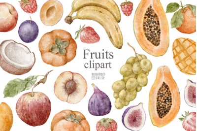 Fruits clipart png watercolor