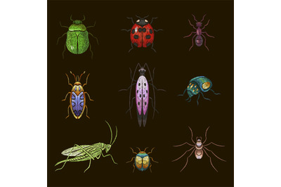 Insect stitch. Bug patch, insects embroidery. Ladybug and grasshopper,