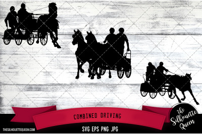 Combined Driving Silhouette, Equestrian Sport Vector | SVG | Clipart