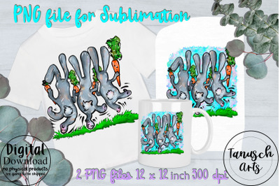 3 easter hopping rabbits Sublimation