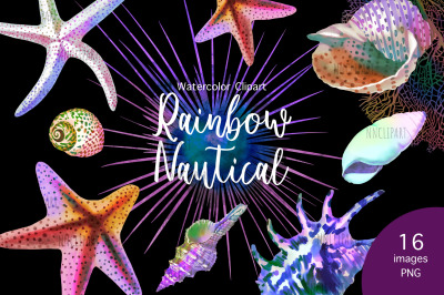 Rainbow Nautical, Seashells watercolor clipart, Starfish,  Wedding