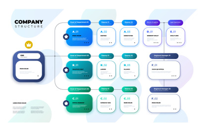 Company structure. Business organization scheme infographic, corporate