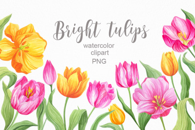 Bright tulips watercolor clipart
