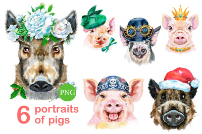 Cute watercolor pigs. Part 11