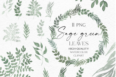 Watercolor greenery clipart, Sage green leaves png,  Gold and green le