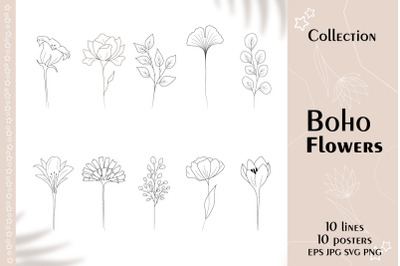 Boho linear flower collection