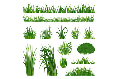 Green grass collection. Yard lawn border, herbal natural turf. Summer