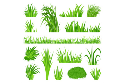 Meadow grass elements. Back yard field, organic green lawn. Weeds vege