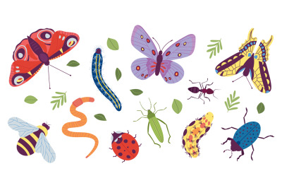 Insect characters. Coloring doodle insects, simple caterpillar, butter