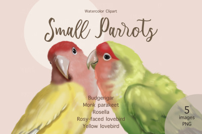 Parrots, Watercolor birds clipart, Yellow lovebird, Budgerigar