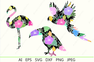 Tropical birds with flowers svg, Flamingo parrot toucan png