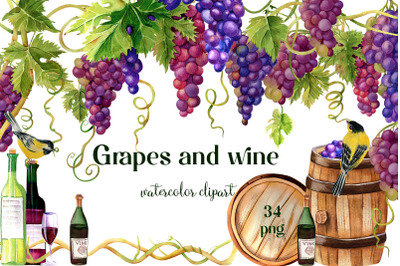 Grapes and wine watercolor clipart