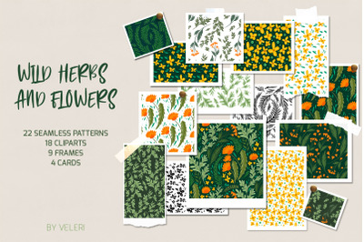 Vector Patterns And Cliparts Wild Herbs And Flowers