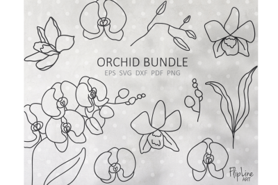 Orchid tropical flower SVG &amp; PNG clipart, Orchid branch