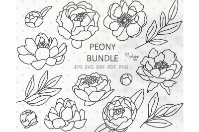Peony bundle SVG &amp; PNG clipart, Flower garden