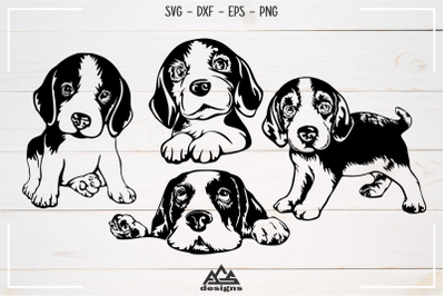 Dog Beagle Puppy Svg Design